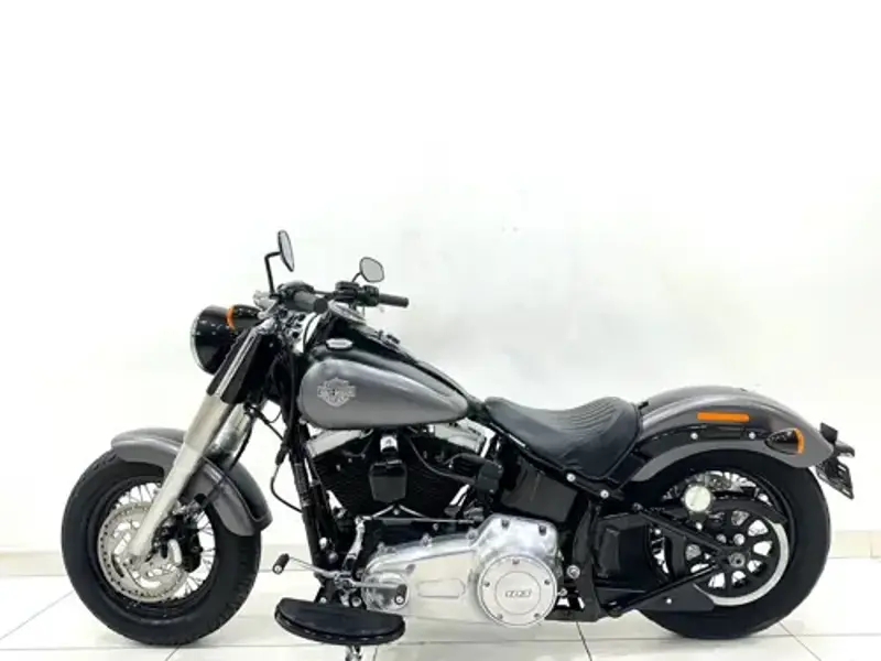 2019 Harley-Davidson Softail Slim