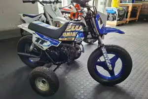 Yamaha PW50 2019 specs